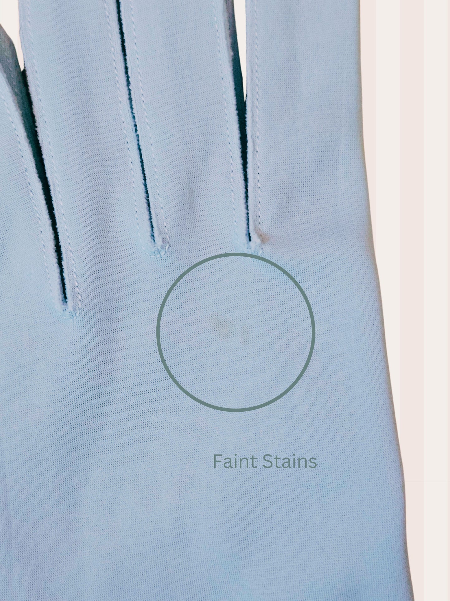 Vintage Pale Blue Gloves