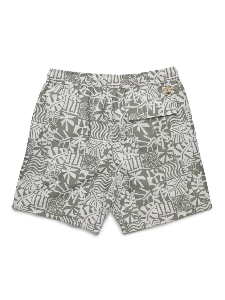 Jimmy Geo Leaf Print Lined Volley Shorts - Seagrass