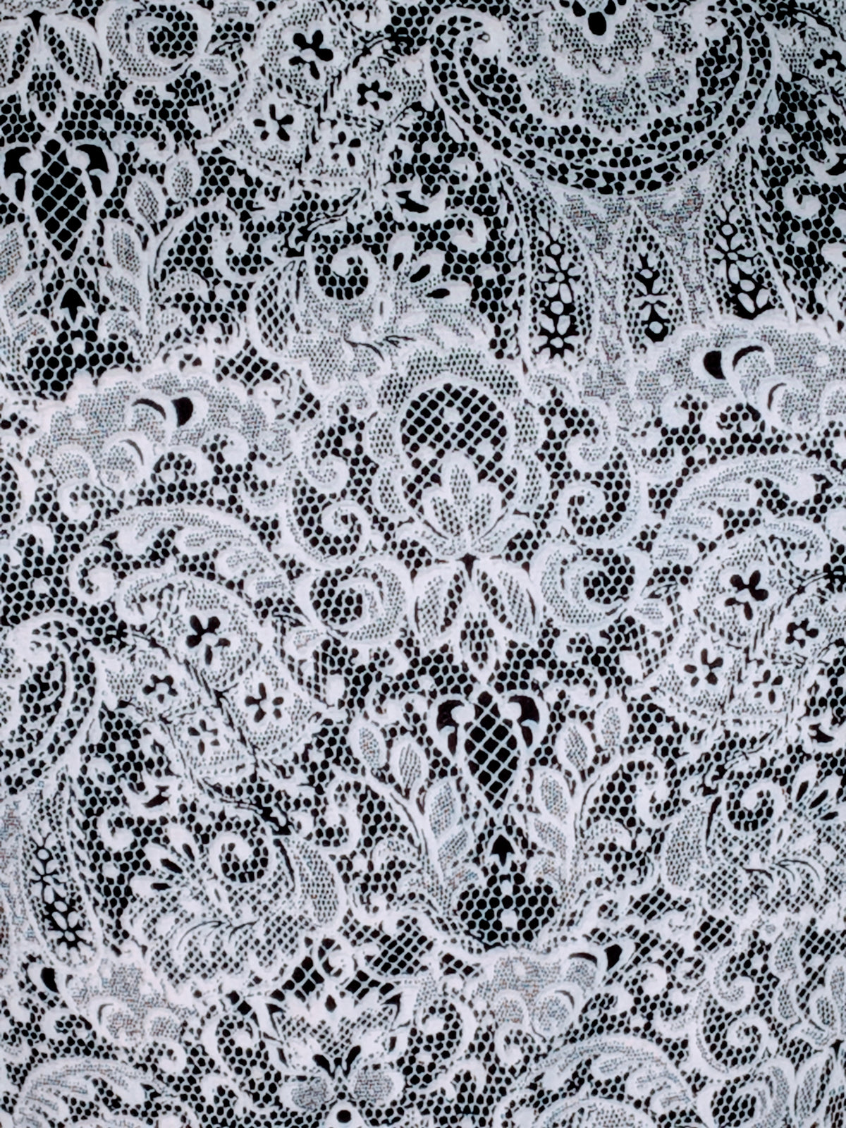 Unique Vintage 1950s Style Black & White Lace Effect Fit & Flare Frock